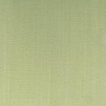 224005