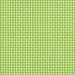 74075063