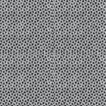 858020
