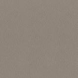 MUR254