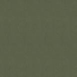 MUR261