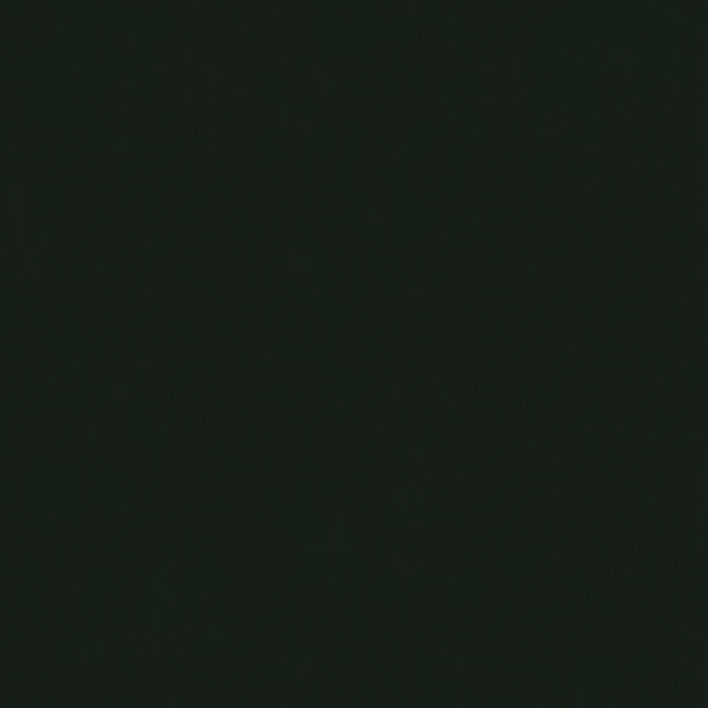 MUR208