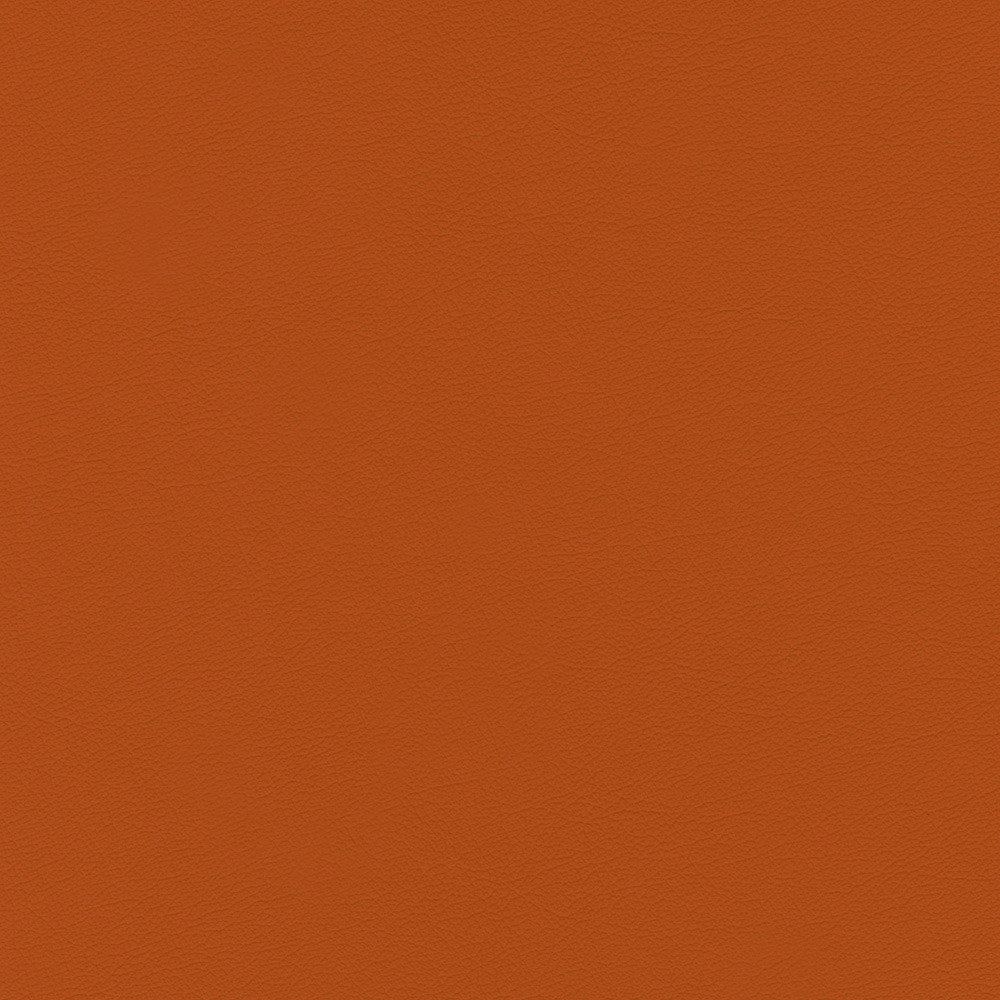 MUR244