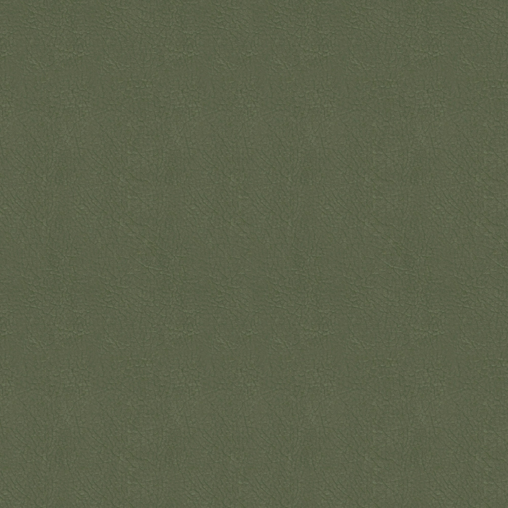 MUR261